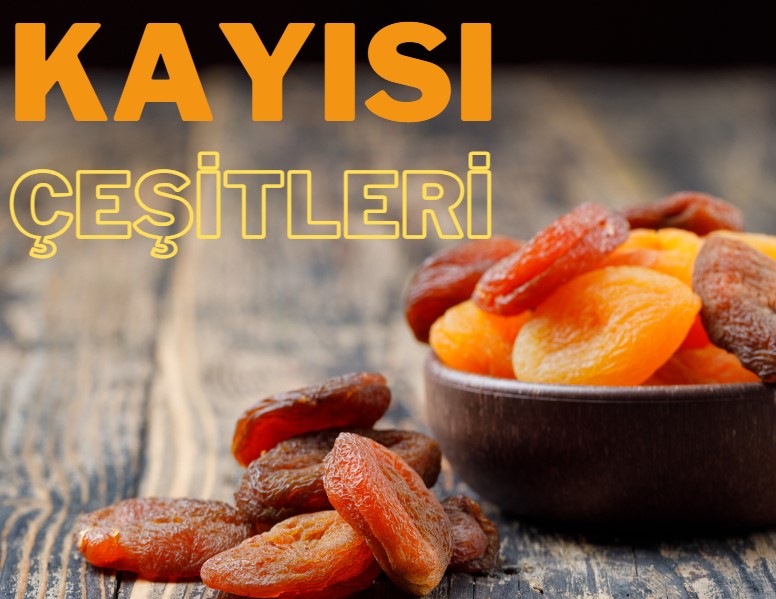 Kayısı Çeşitleri